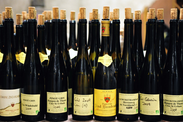 Première dégustation des vins du millésime 2009 au Domaine Zind-Humbrecht
