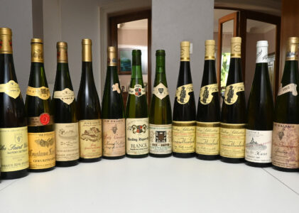 Le vieillissement des Grands Alsaces avec NonSoloDivino